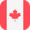 Mastering the Screen: Reaching Canada's Elite via TV and Connected TV Advertising