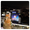 🌍 Illuminating the World: Innovative Projection Activations for Global Brand Engagement