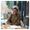 Premium Advertising Opportunities in Ethiopia