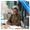 Premium Advertising Opportunities in Ethiopia