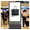 Executive Programmatic Advertising at Dallas International Airport at just $3000/day