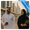 GCC Advertising Media Landscape: Top Insights for 2025