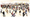 Global Media Planning Insights: October 2025