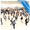 Global Media Planning Insights: October 2025
