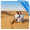 Qatar Media Intelligence & Insight Report: International Travelers 2025