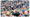 Global Media Planning Insights: September 2025
