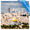 Complete Advertising Media Guide for Israel: Airport, OOH, Newspaper, Radio & TV Options