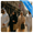 Targeting the Affluent: Reaching GCC HNI Travelers in London Through Strategic OOH Advertising